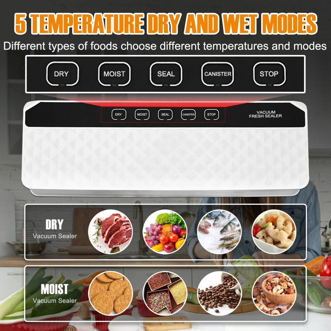 Ootd Sous Vide Household Automatic Commercial Use with Free Bags Vacuum Sealer