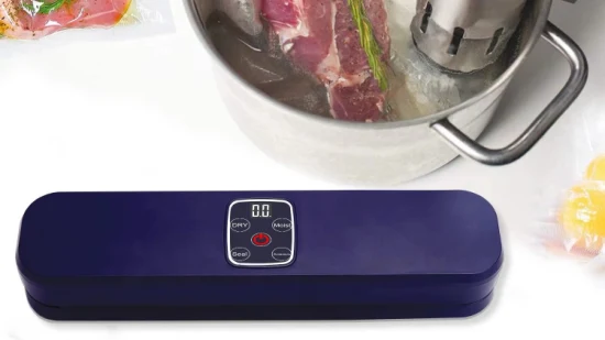 Ootd 식품 진공 보호기, 무료 백 진공 실러가 포함된 Sous Vide 다기능 장치